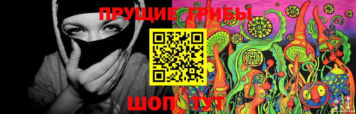 Галлюциногенные грибы Psilocybine cubensis Алейск