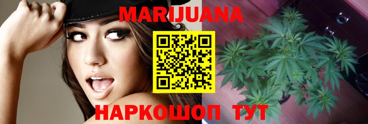 Каннабис конопля Алейск